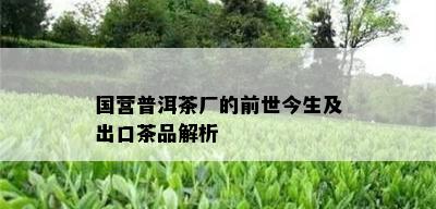 国营普洱茶厂的前世今生及出口茶品解析