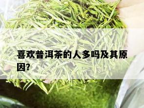 喜欢普洱茶的人多吗及其原因？