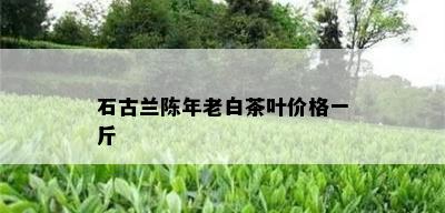 石古兰陈年老白茶叶价格一斤