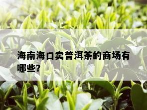 海南海口卖普洱茶的商场有哪些？