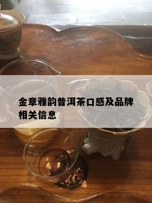 金章雅韵普洱茶口感及品牌相关信息