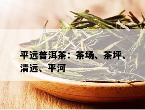 平远普洱茶：茶场、茶坪、清远、平河