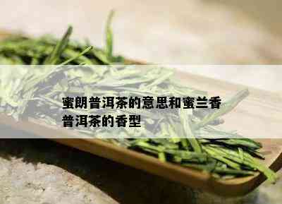 蜜朗普洱茶的意思和蜜兰香普洱茶的香型