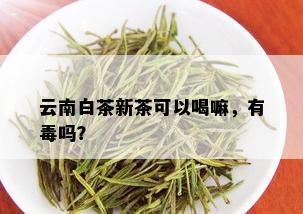 云南白茶新茶可以喝嘛，有吗？