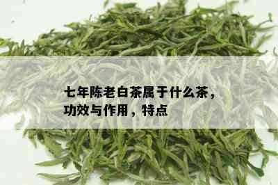 七年陈老白茶属于什么茶，功效与作用，特点