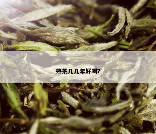 熟茶几几年好喝？