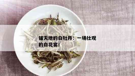 铺天地的白牡丹：一场壮观的白花宴！