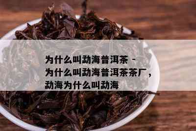 为什么叫勐海普洱茶 - 为什么叫勐海普洱茶茶厂，勐海为什么叫勐海