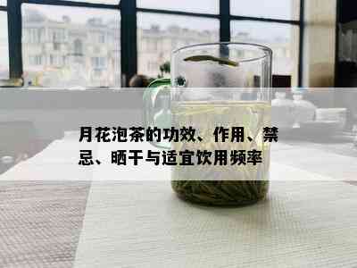 月花泡茶的功效、作用、禁忌、晒干与适宜饮用频率