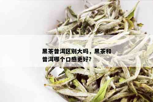 黑茶普洱区别大吗，黑茶和普洱哪个口感更好？