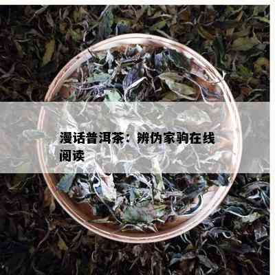 漫话普洱茶：辨伪家驹在线阅读