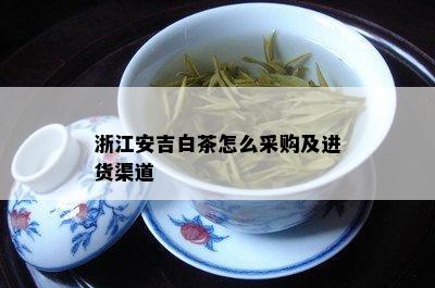 浙江安吉白茶怎么采购及进货渠道