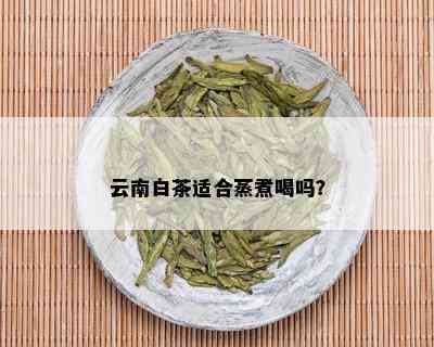 云南白茶适合蒸煮喝吗？