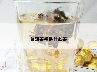 普洱茶福是什么茶