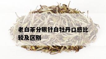 老白茶分银针白牡丹口感比较及区别