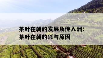 茶叶在朝的发展及传入洲：茶叶在朝的兴与原因