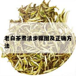 老白茶煮法步骤图及正确方法