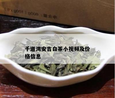 千道湾安吉白茶小视频及价格信息