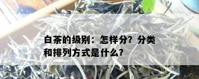 白茶的级别：怎样分？分类和排列方式是什么？