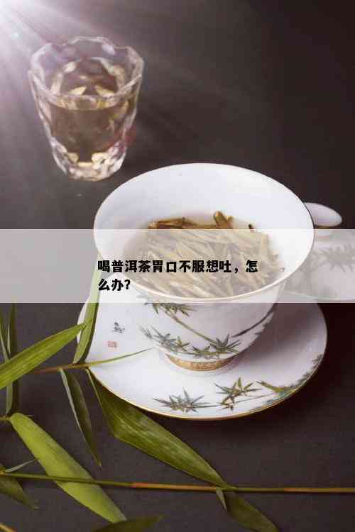 喝普洱茶胃口不服想吐，怎么办？