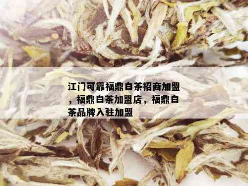 江门可靠福鼎白茶招商加盟，福鼎白茶加盟店，福鼎白茶品牌入驻加盟