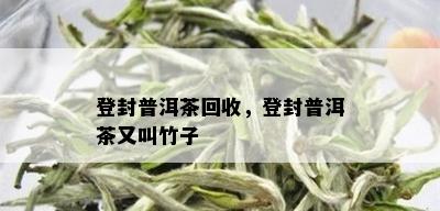 登封普洱茶回收，登封普洱茶又叫竹子