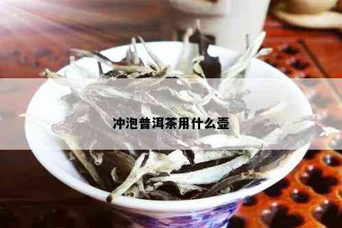 冲泡普洱茶用什么壶