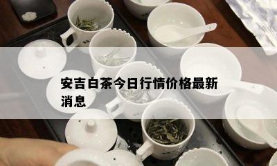 安吉白茶今日行情价格最新消息