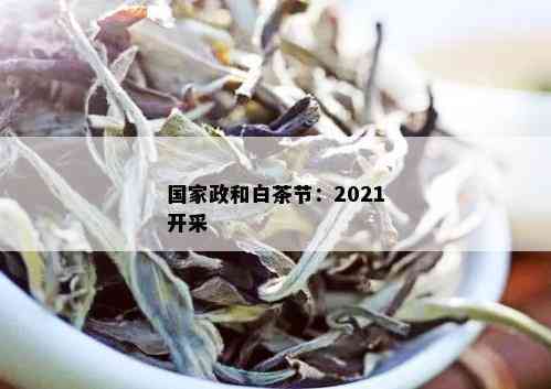 国家政和白茶节：2021开采