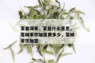 茗普洱茶，茗是什么意思，茗城茶饮加盟费多少，茗城茶饮加盟