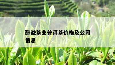 醇溢茶业普洱茶价格及公司信息