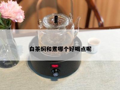 白茶焖和煮哪个好喝点呢