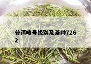 普洱唛号级别及茶种7262