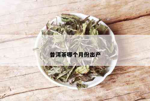 普洱茶哪个月份出产