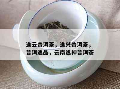 逸云普洱茶，逸兴普洱茶，普洱逸品，云南逸神普洱茶