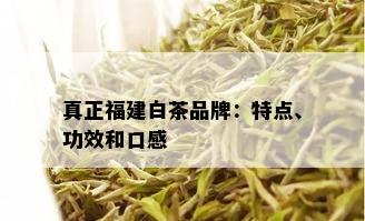 真正福建白茶品牌：特点、功效和口感