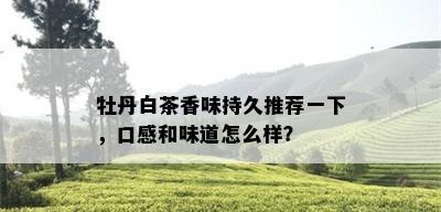 牡丹白茶香味持久推荐一下，口感和味道怎么样？