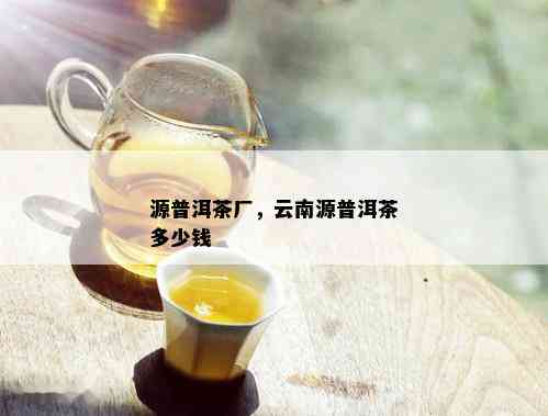 源普洱茶厂，云南源普洱茶多少钱