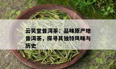 云笑堂普洱茶：品味原产地普洱茶，探寻其独特风味与历史