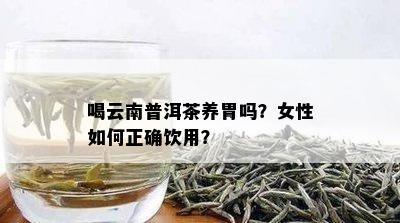 喝云南普洱茶养胃吗？女性如何正确饮用？