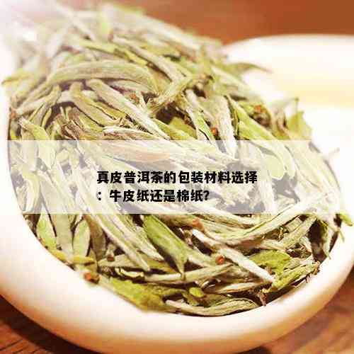 真皮普洱茶的包装材料选择：牛皮纸还是棉纸？