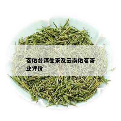 茗佑普洱生茶及云南佑茗茶业评价