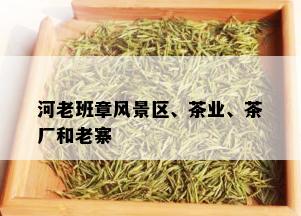 河老班章风景区、茶业、茶厂和老寨