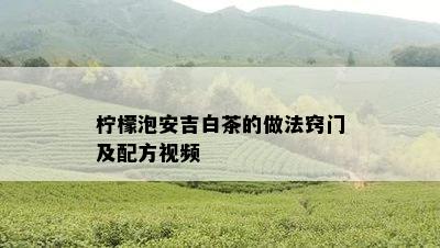 柠檬泡安吉白茶的做法窍门及配方视频