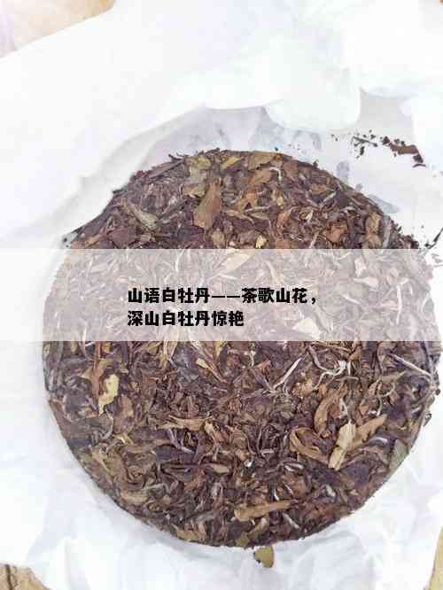 山语白牡丹——茶歌山花，深山白牡丹惊艳