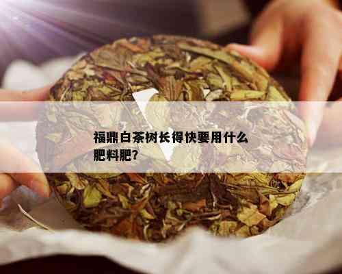 福鼎白茶树长得快要用什么肥料肥？