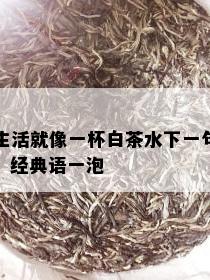 生活就像一杯白茶水下一句，经典语一泡