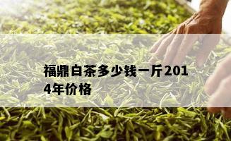 福鼎白茶多少钱一斤2014年价格