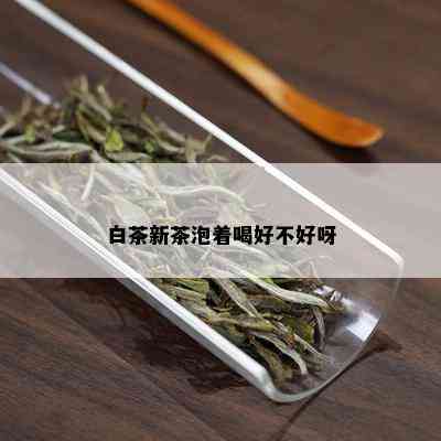 白茶新茶泡着喝好不好呀