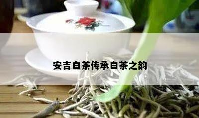 安吉白茶传承白茶之韵